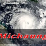 IMD Forecast Cyclone Michaung