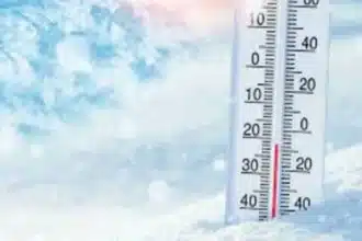 ગુજરાતમાં આ તારીખથી ઠંડી હાડ થીજવી નાખશે